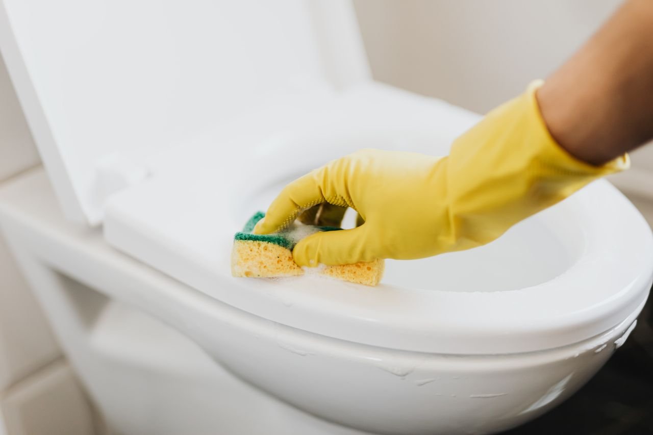 Home From above of crop anonymous person in rubber gloves using soapy sponge while cleaning toilet bowl